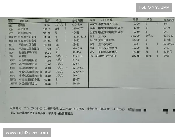 PG官网化验所报告查询常见问题解答帮助玩家解决报告查询中的疑难杂症